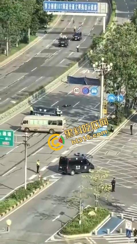 东莞中堂街头真人炸鸡秀,大哥背炸弹变身爆破鬼才堵路,手握军刺装狠,警方现场上演爆头大戏!-7