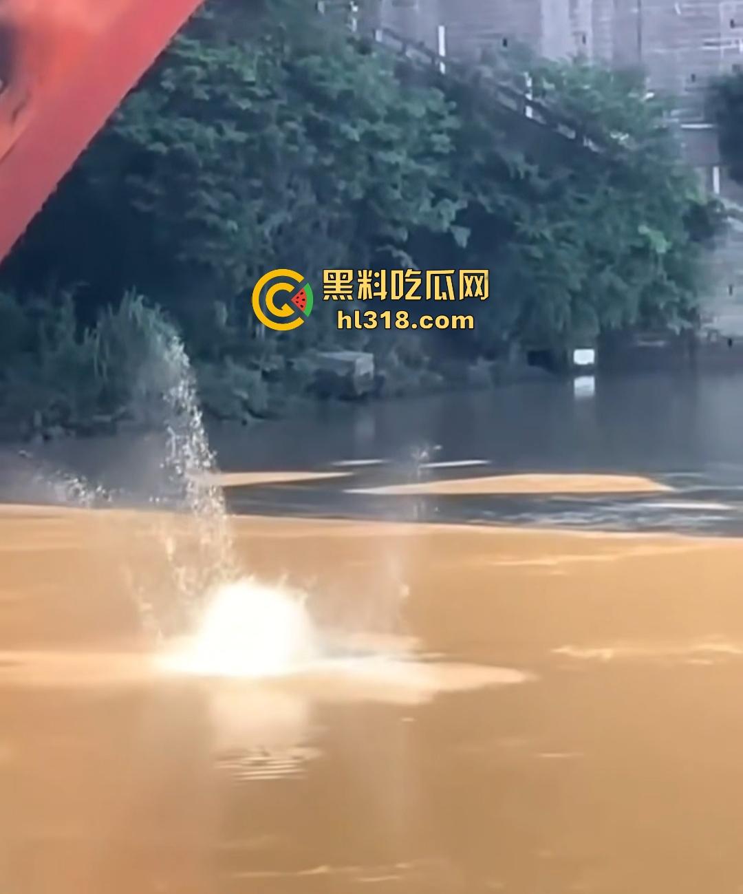 宜宾南门大桥惊魂跳河！黄河波浪敲响生命警钟，黄金30秒生死救援捡回一条狗命！-2