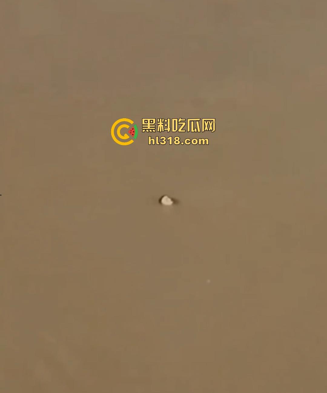 宜宾南门大桥惊魂跳河！黄河波浪敲响生命警钟，黄金30秒生死救援捡回一条狗命！-6