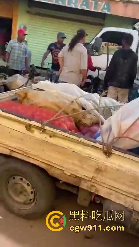 欧洲老白男持刀压迫老实小黑,拿到吓唬人,不料大老黑给逼急了,狗急跳墙抄起大木棍一棒子反杀!-5