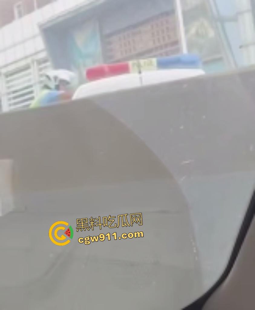 石家庄现实版侠盗飞车！欲跳桥自杀男子反转抢警车狂飙撞飞路人，警方围堵抓捕直接撞烂警车！-7